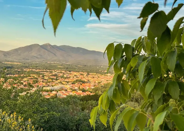 Le Paradis Des Albères - Refuge Vue Mer&montagnes * Céret