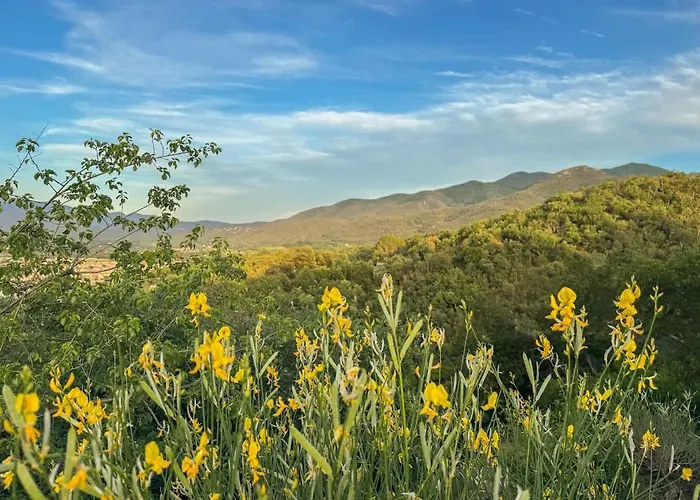 Le Paradis Des Albères - Refuge Vue Mer&montagnes Céret